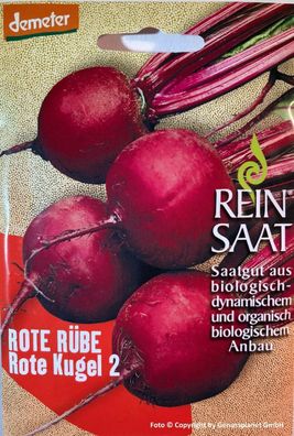 Rote Rübe Saatgut - Rote Kugel 2 Samen - Demeter - aus biologischem Anbau Beete
