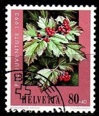Schweiz Switzerland [1993] MiNr 1514 ( O/ used ) Pflanzen