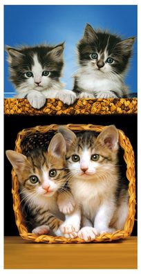 Katzen im Korb 4 Kätzchen Strandtuch Badetuch Handtuch für Kinder mehrfarbig, 70