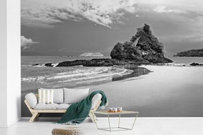 Fototapete - 405x260 cm - Paradies am Strand von Costa Rica in Schwarz und Weiß