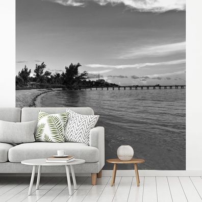 Fototapete - 300x300 cm - Blick vom Strand der Isla Mujeres - Schwarz und Weiß