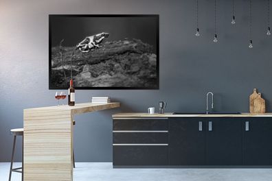 Poster - 120x80 cm - Grüner Pfeilgiftfrosch auf einem Baumstumpf in Costa Rica in sch