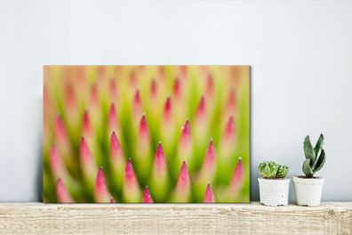 Leinwandbilder - 30x20 cm - Pflanze - Rosa - Makro (Gr. 30x20 cm)