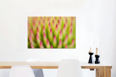 Leinwandbilder - 90x60 cm - Pflanze - Rosa - Makro (Gr. 90x60 cm)