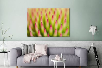 Leinwandbilder - 120x80 cm - Pflanze - Rosa - Makro (Gr. 120x80 cm)