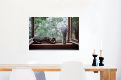 Glasbilder - 90x60 cm - Zypresse Katze aus dem Fenster (Gr. 90x60 cm)