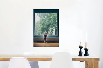 Glasbilder - 40x60 cm - Katze am Fenster (Gr. 40x60 cm)