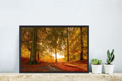 Poster - 60x40 cm - Herbst - Licht - Wald (Gr. 60x40 cm)