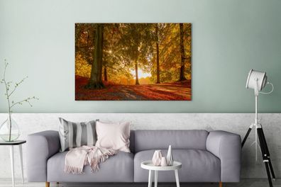 Leinwandbilder - 140x90 cm - Herbst - Licht - Wald (Gr. 140x90 cm)