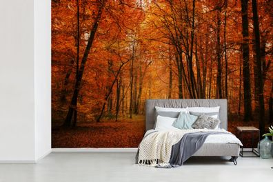 Fototapete - 450x300 cm - Herbst - Rot - Wald (Gr. 450x300 cm)