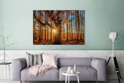 Leinwandbilder - 140x90 cm - Herbst - Sonne - Baum (Gr. 140x90 cm)