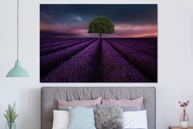Glasbilder - 150x100 cm - Lavendel - Baum - Lila (Gr. 150x100 cm)