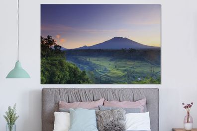 Glasbilder - 150x100 cm - Reisfelder in Indonesien (Gr. 150x100 cm)