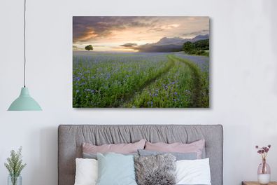 Leinwandbilder - 150x100 cm - Sonnenuntergang - Blumen - Farben (Gr. 150x100 cm)