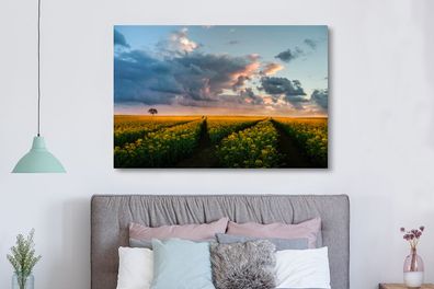 Leinwandbilder - 150x100 cm - Blumen - Gelb - Sonnenuntergang (Gr. 150x100 cm)