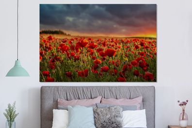 Glasbilder - 150x100 cm - Sonnenuntergang - Mohnblumen - Rot (Gr. 150x100 cm)