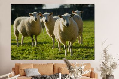 Glasbilder - 150x100 cm - Schafe - Tiere - Wolle (Gr. 150x100 cm)