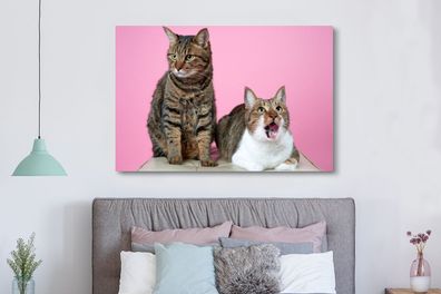 Leinwandbilder - 150x100 cm - Katze - Rosa - Fußschemel (Gr. 150x100 cm)