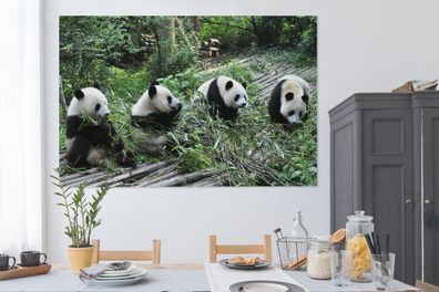 Leinwandbilder - 150x100 cm - Panda - Natur - Bambus (Gr. 150x100 cm)