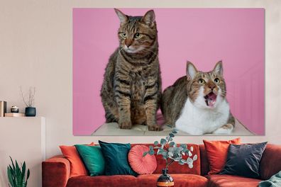 Glasbilder - 150x100 cm - Katze - Rosa - Fußschemel (Gr. 150x100 cm)