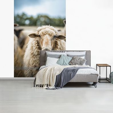Fototapete - 200x300 cm - Portrait eines Schafes (Gr. 200x300 cm)