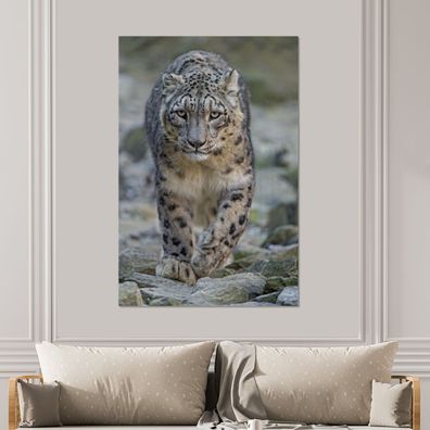 Glasbilder - 100x150 cm - Leopard - Steine - Spaziergang (Gr. 100x150 cm)