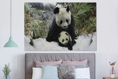 Glasbilder - 150x100 cm - Panda - Jungtier - Schnee (Gr. 150x100 cm)