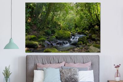 Glasbilder - 150x100 cm - Rainforest Creek (Gr. 150x100 cm)