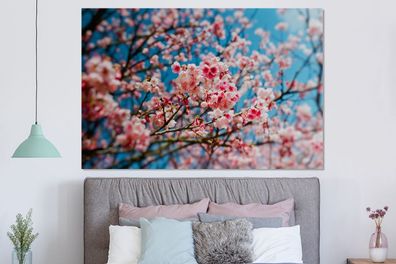 Glasbilder - 150x100 cm - Frühling - Sakura - Rosa (Gr. 150x100 cm)