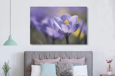 Leinwandbilder - 150x100 cm - Frühling - Krokus - Lila (Gr. 150x100 cm)
