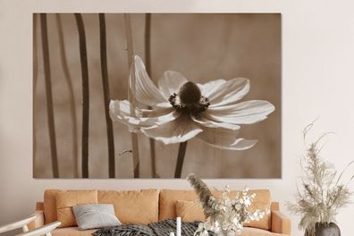 Glasbilder - 150x100 cm - Blume der Anemone Sepia-Fotodruck (Gr. 150x100 cm)