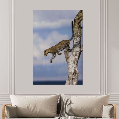 Glasbilder - 100x150 cm - Leopard - Baum - Sprung (Gr. 100x150 cm)