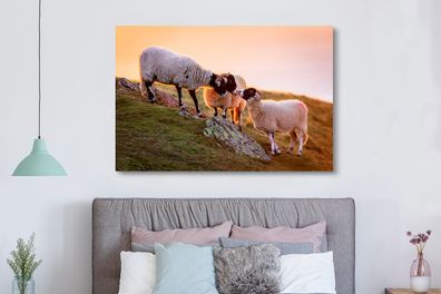 Leinwandbilder - 150x100 cm - Schafe - Tiere - Sonnenuntergang (Gr. 150x100 cm)