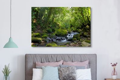 Leinwandbilder - 150x100 cm - Rainforest Creek (Gr. 150x100 cm)