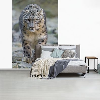 Fototapete - 170x260 cm - Leopard - Steine - Spaziergang (Gr. 170x260 cm)