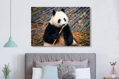 Leinwandbilder - 150x100 cm - Großer Panda - Bambus - Blätter (Gr. 150x100 cm)