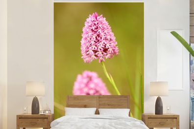 Fototapete - 170x260 cm - Blumen - Orchidee - Rosa (Gr. 170x260 cm)