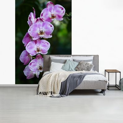Fototapete - 145x220 cm - Blühende Orchideen (Gr. 145x220 cm)