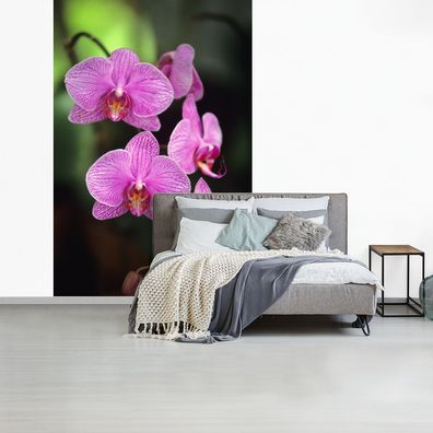 Fototapete - 170x260 cm - Rosa Orchidee (Gr. 170x260 cm)