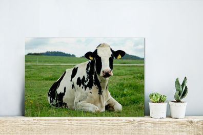 Glasbilder - 30x20 cm - Kuh - Tier - Friesland (Gr. 30x20 cm)