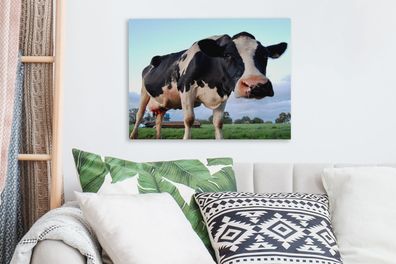 Leinwandbilder - 40x30 cm - Kuh - Bauernhof - Gras - Tiere (Gr. 40x30 cm)