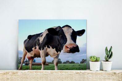 Glasbilder - 40x30 cm - Kuh - Bauernhof - Gras - Tiere (Gr. 40x30 cm)