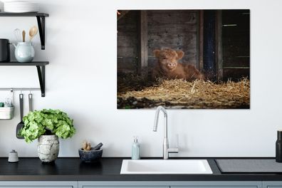 Leinwandbilder - 80x60 cm - Schottischer Hochländer - Bauernhof - Stroh