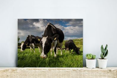 Glasbilder - 40x30 cm - Kuh - Natur - Gras - Tiere (Gr. 40x30 cm)