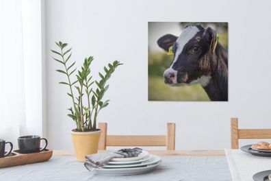 Leinwandbilder - 50x50 cm - Kuh - Kalb - Tiere - Bauernhof (Gr. 50x50 cm)