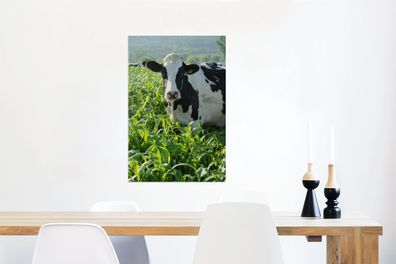 Glasbilder - 40x60 cm - Kuh - Gras - Berg - Tiere (Gr. 40x60 cm)