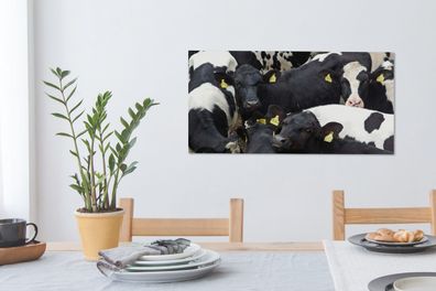 Leinwandbilder - 80x40 cm - Kuh - Herde - Bauernhof - Tiere (Gr. 80x40 cm)