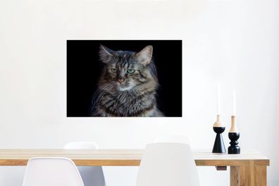 Glasbilder - 90x60 cm - Maine Coon Katze mit schwarzem Hintergrund (Gr. 90x60 cm)