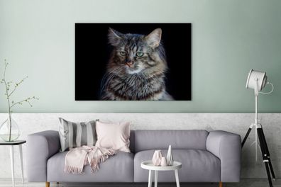 Leinwandbilder - 120x80 cm - Maine Coon Katze mit schwarzem Hintergrund