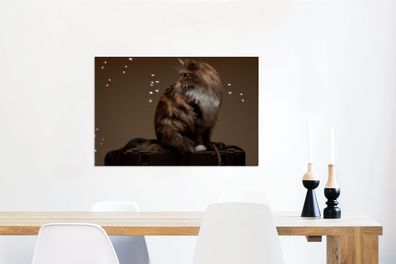 Leinwandbilder - 90x60 cm - Braune Maine Coon Katze sitzt auf einer alten Schachtel